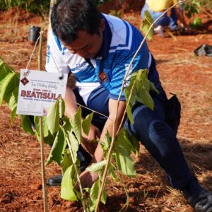 TREE PLANTING (1)