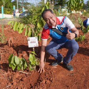 TREE PLANTING (14)