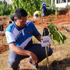 TREE PLANTING (15)