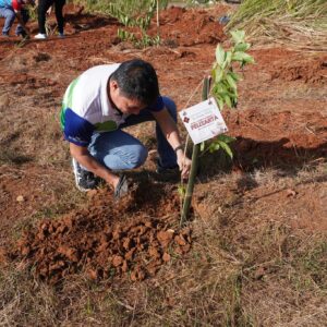 TREE PLANTING (17)