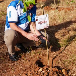 TREE PLANTING (4)