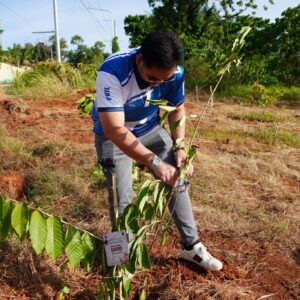 TREE PLANTING (6)